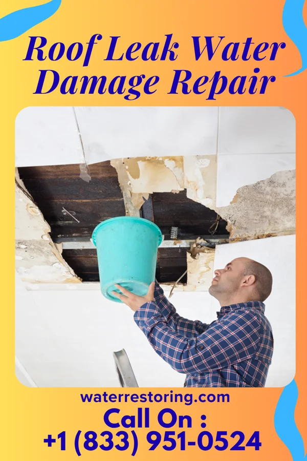 Roof Leak Water Damage Repair in Lauderdale, MN