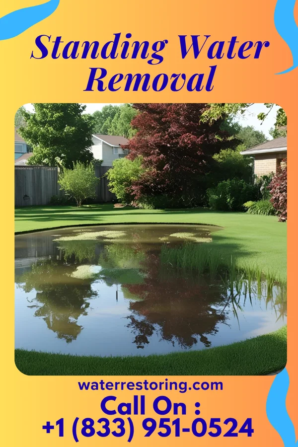 Standing Water Removal in Lauderdale, MN